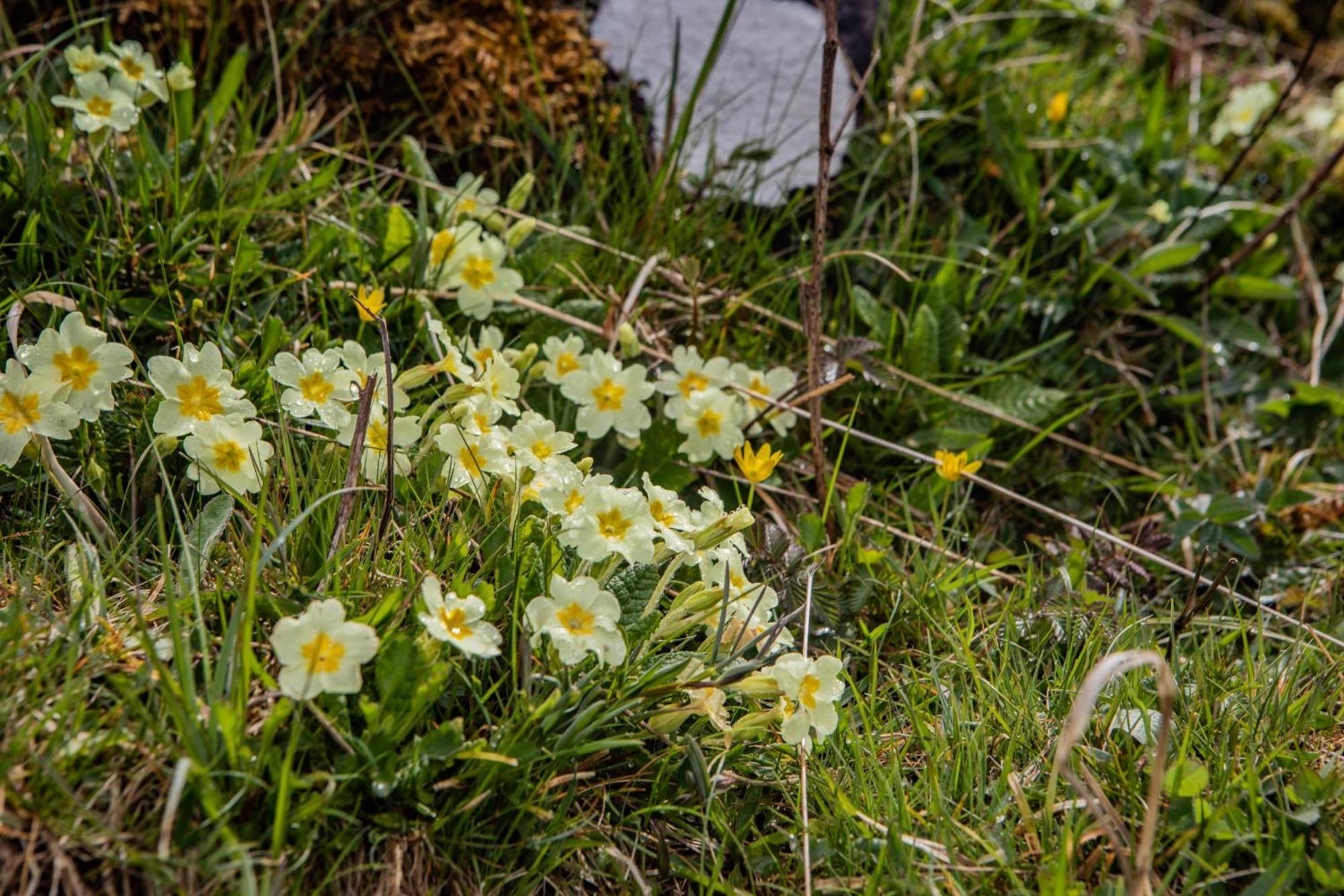 Edinbane Self Catering - On The Croft At Edinbaneヴィラ エクステリア 写真