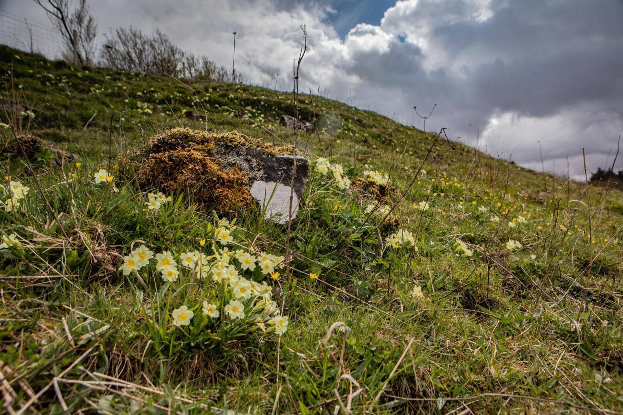 Edinbane Self Catering - On The Croft At Edinbaneヴィラ エクステリア 写真